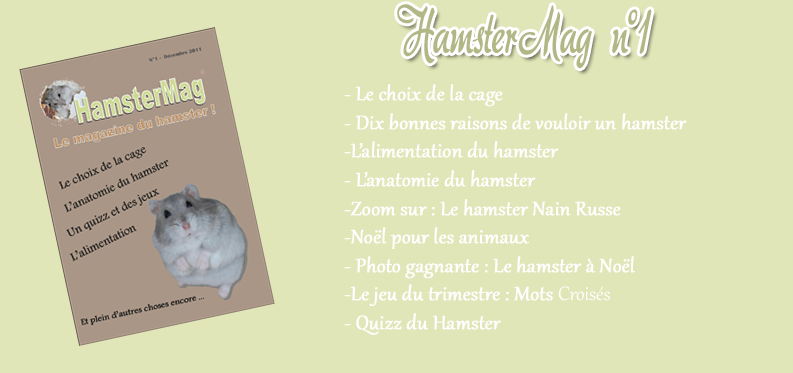 HamsterMag1