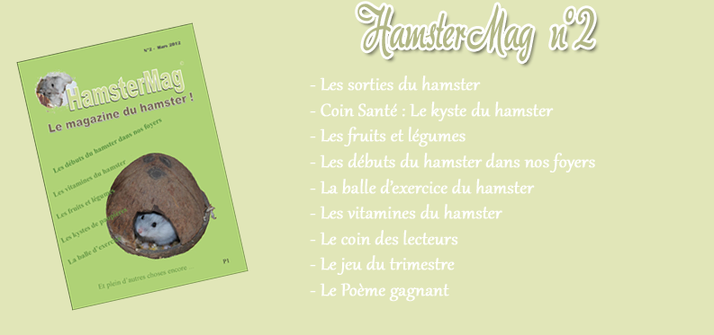 HamsterMag2